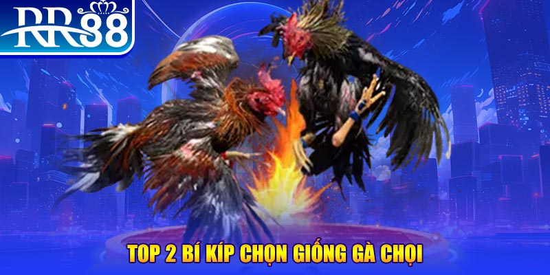 818win đăng nhập poker số 1