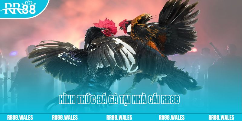 818win PS Điện Tử