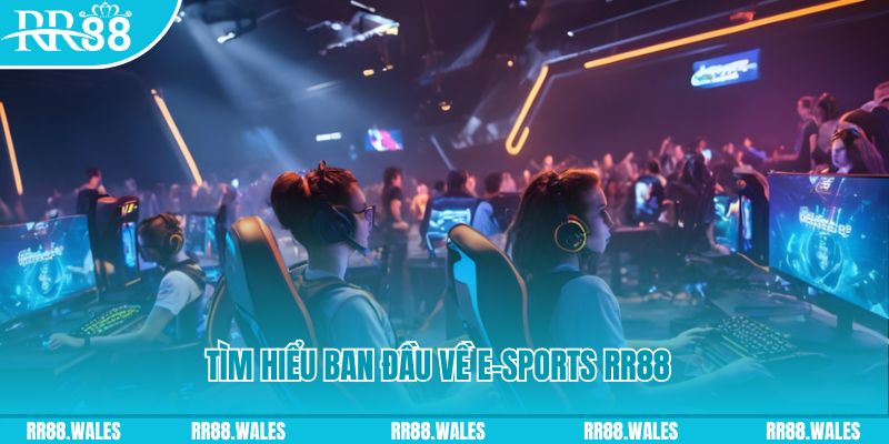 818win Đĩa màu ace