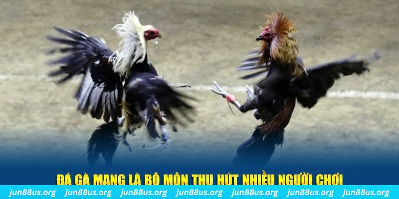 818win xổ số cà mau