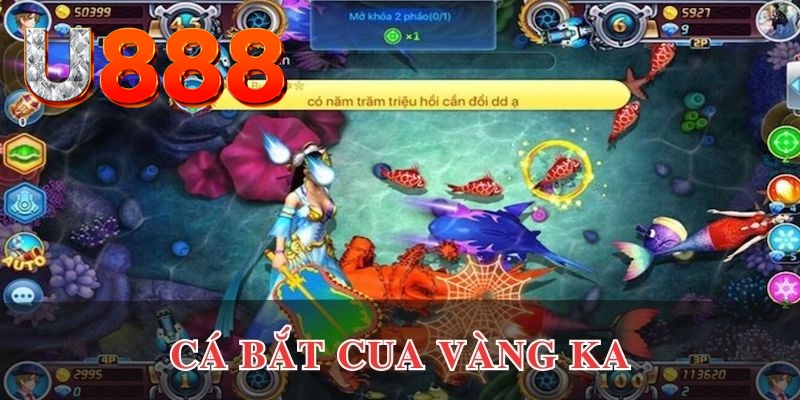 818win đăng nhập phỏm uy tín