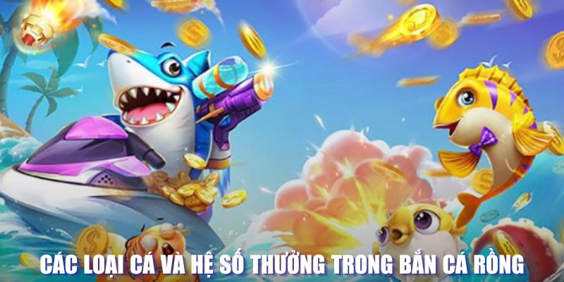 818win loi game dot kich ket noi may chu that bai