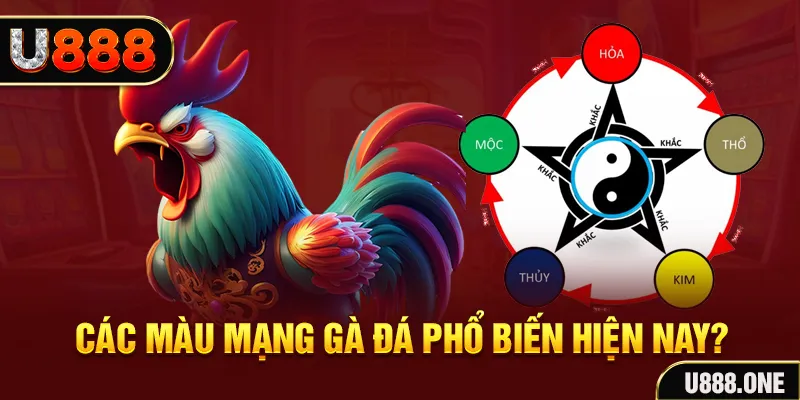 818win đăng nhập mậu binh