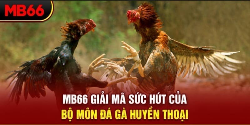 818win Phi Đội Ưu Tú