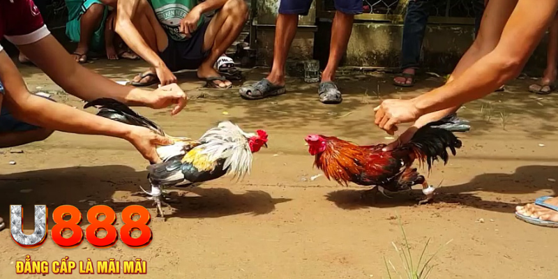 818win đăng nhập mậu binh rút tiền nhanh
