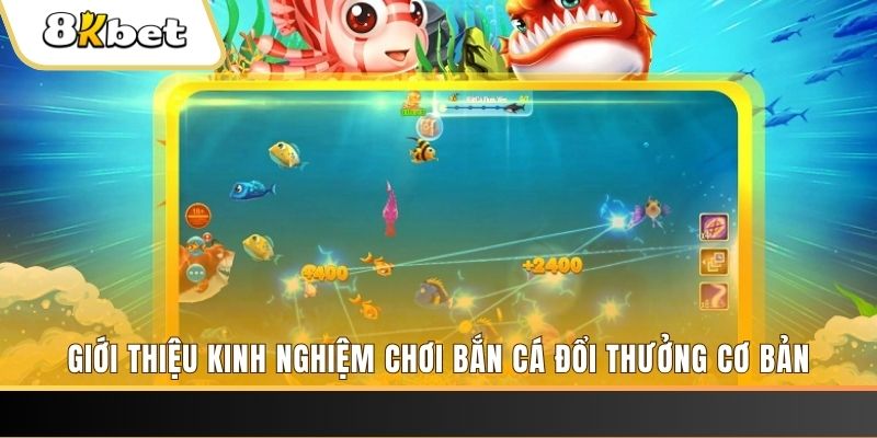 818win xổ số miền bắc thứ năm hàng tuần