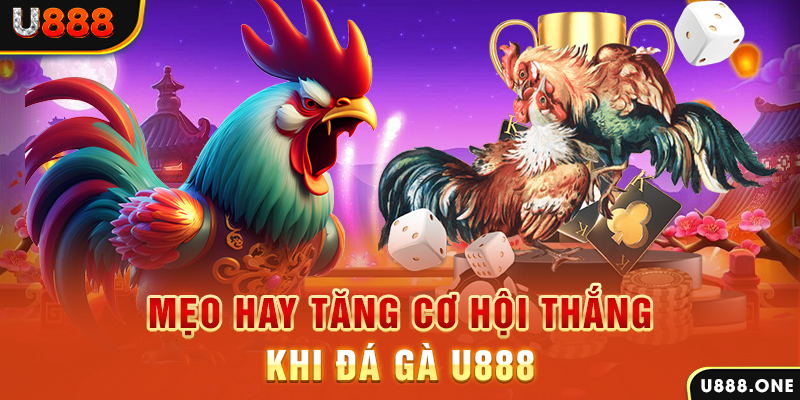 818win trực tiếp gà chọi c1