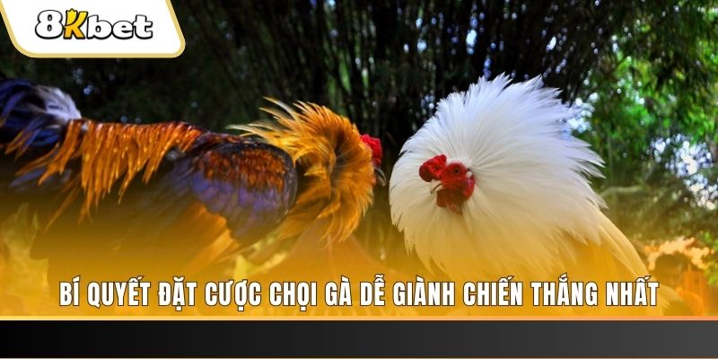 818win Tài Xỉu 2