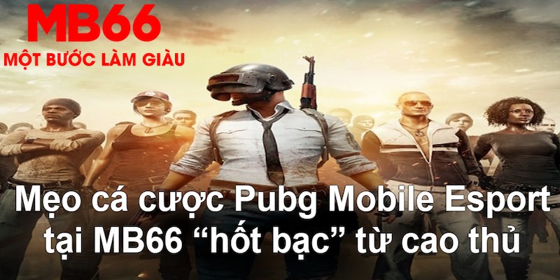 818win gà chọi mộc hóa