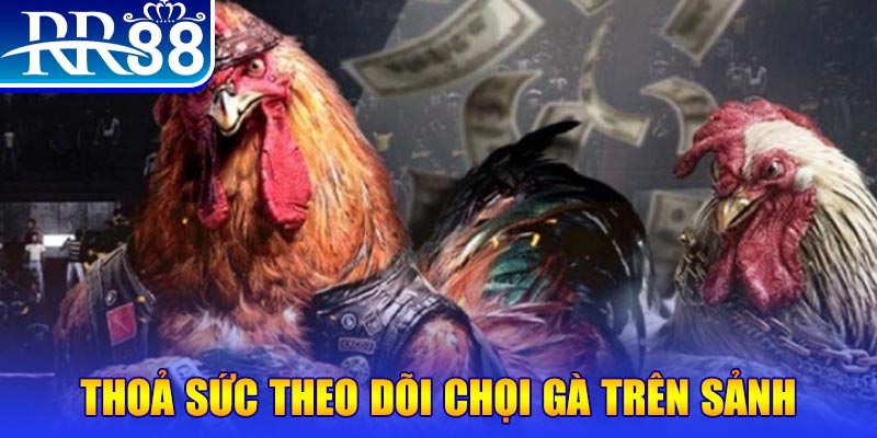 818win đá gà 88.com