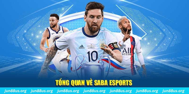 818win gà chọi c1 tv trực tiếp hôm nay